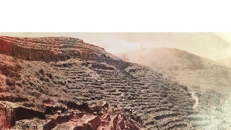 "Veo tu viña en un museo", la historia de una espectacular finca del siglo XIX recuperada hoy