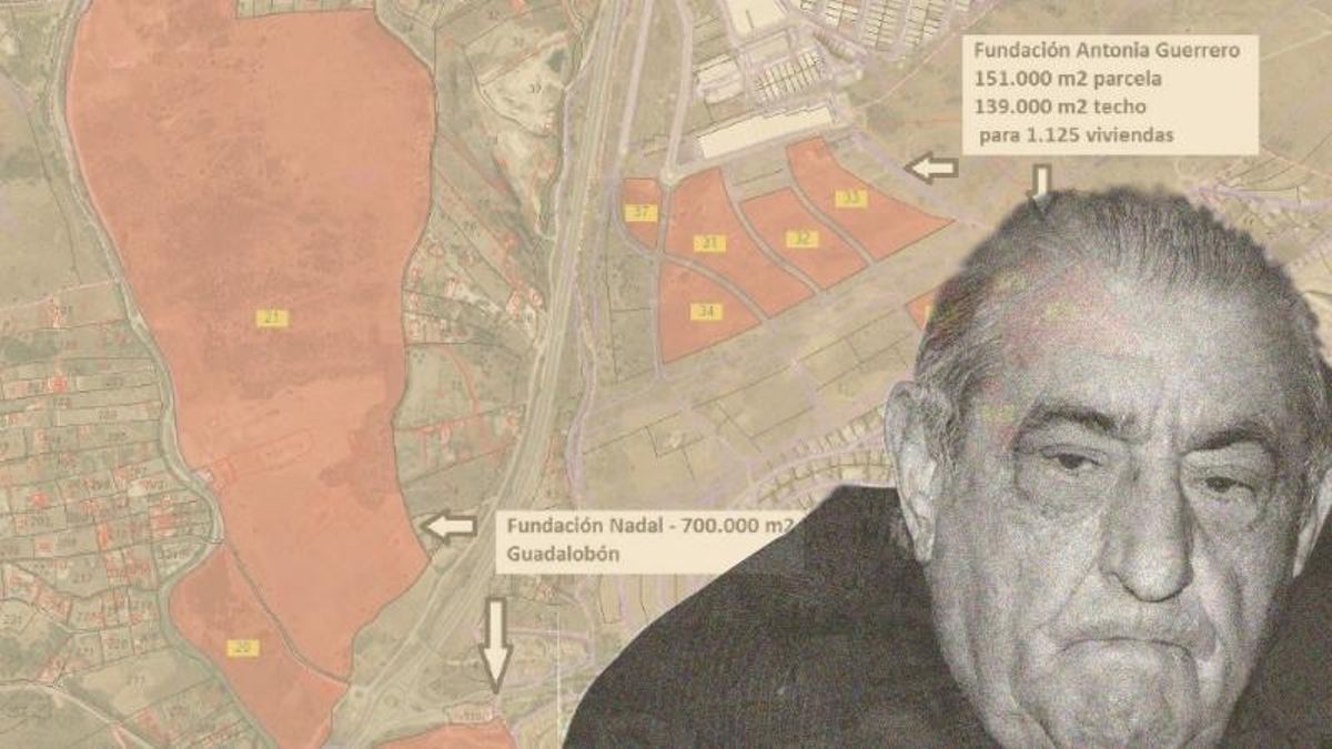 Terrenos de Guadalobón y de la Fundación Antonia Guerrero, ahora a subasta | Mapa del Catastro, cedida por Mariano Cabanillas