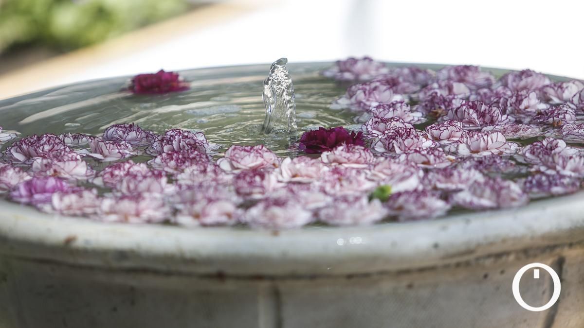 Segundo premio en Zonas Modernas Cruz Asociación de Vecinos San José Obrero