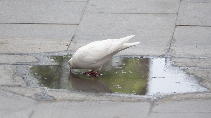 La ola de calor, con hasta 44 grados, vive uno de sus días más cálidos