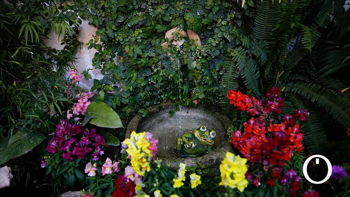 Patio Chaparro, 3- 2022