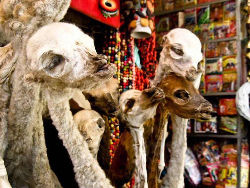 Fetos de llama en la Calle Linares de La Paz. Estos 'exvotos' sirven para hacer pagos a la Pacha Mama.