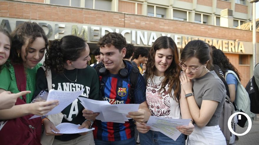 El 97,36% de los estudiantes aprueba la Pevau en Córdoba