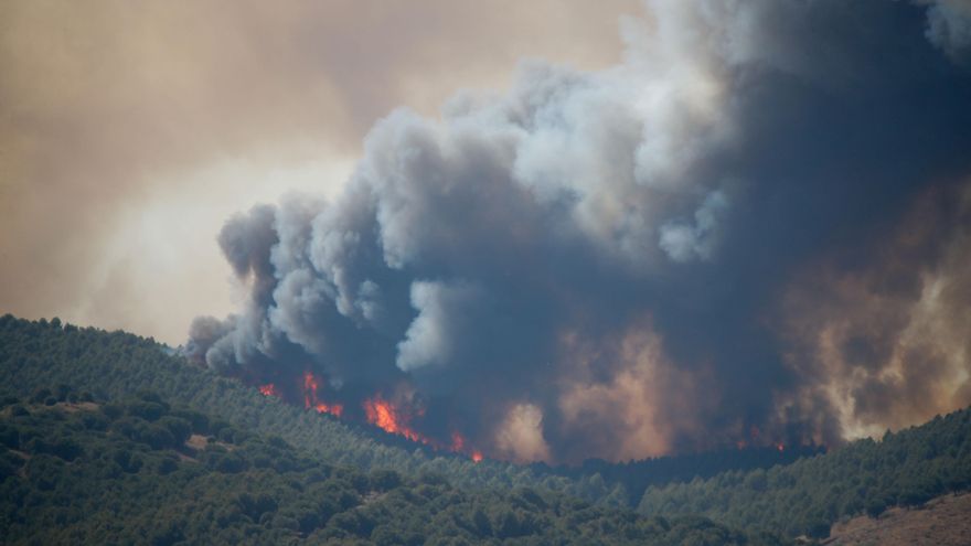 El incendio que arrasa Zaragoza fue causado por los trabajos de una empresa de reforestación a gran escala