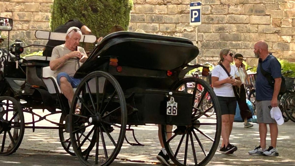 Un coche de caballos en Palma.