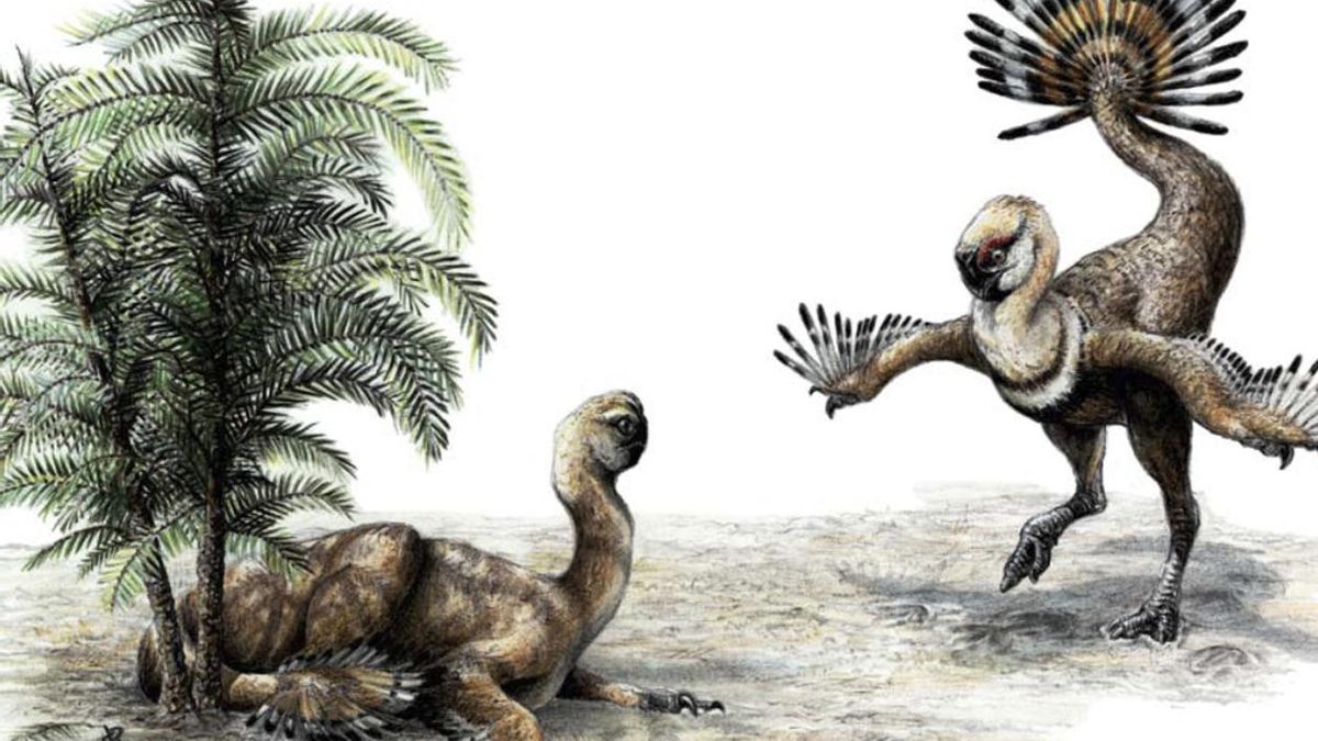 La disposición en anillos con piezas inclinadas y parcialmente cubiertas condicionaba la transmisión térmica