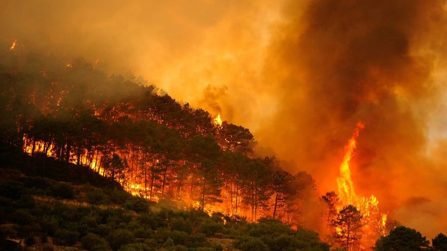 Dentro del centro que decide cómo se combaten los incendios forestales en Castilla-La Mancha