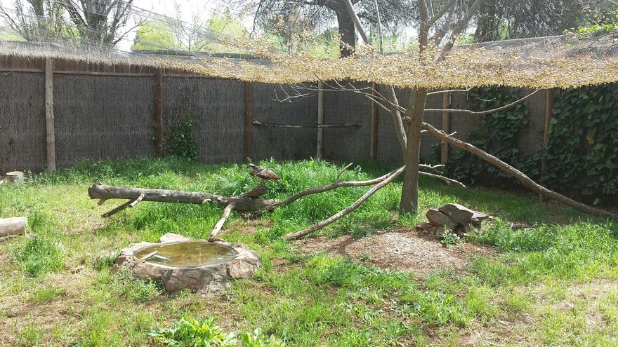 Centro El Chaparrillo