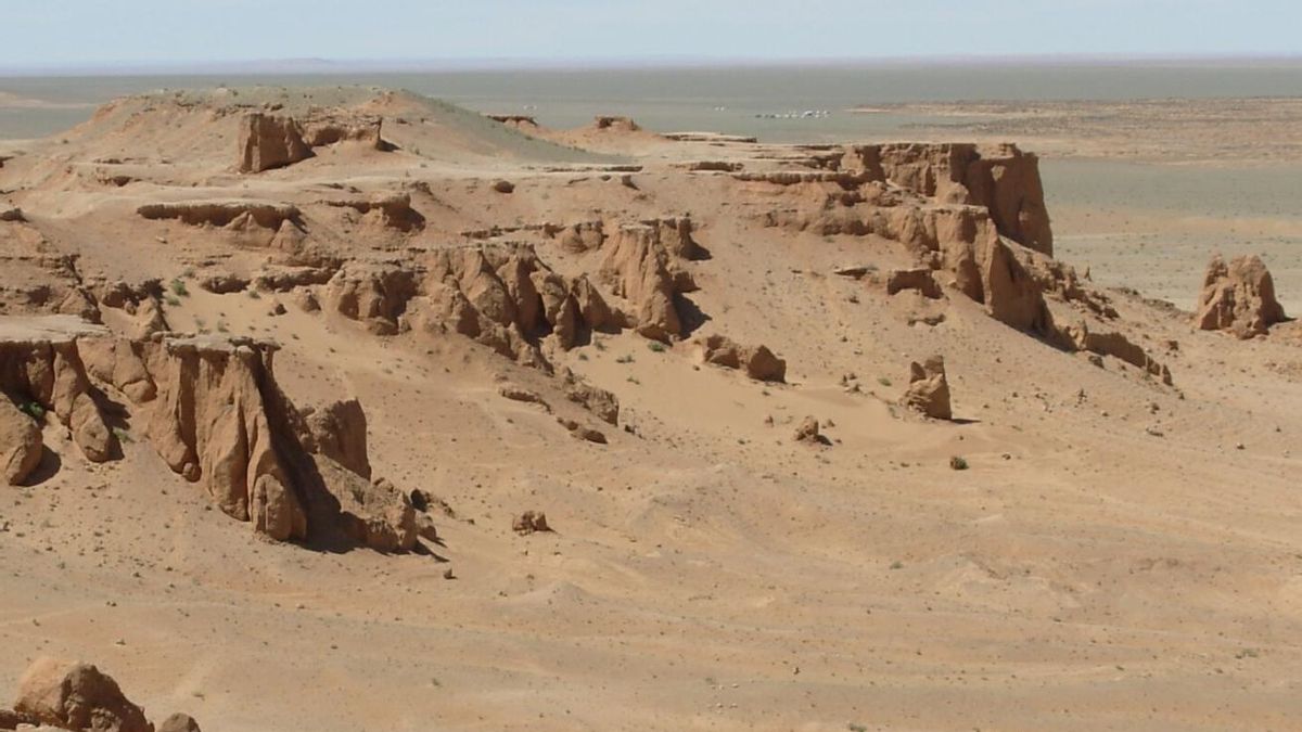 Once estados africanos apostaron por recuperar terrenos degradados con agroforestería