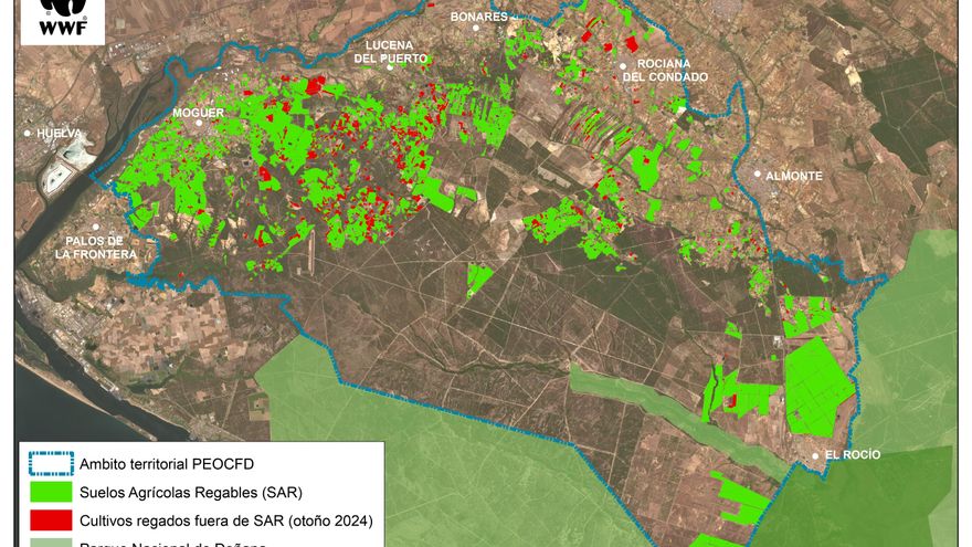 WWF alerta de que se van a comercializar 30.000 toneladas de frutos rojos procedentes de "regadíos ilegales"