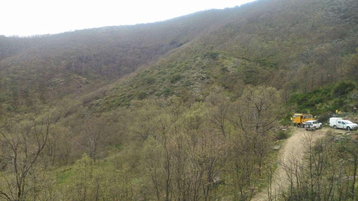 El Servicio de Prevención y Extinción de Incendios Forestales de la Junta de Extremadura recomienda que se extremen las precauciones.