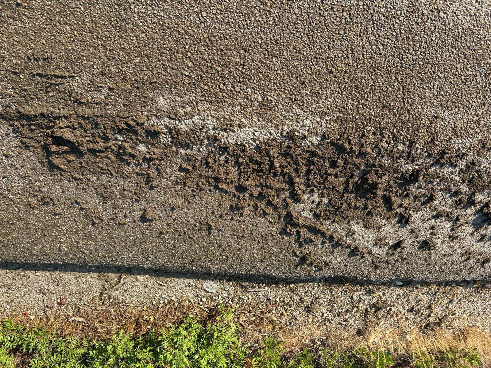 Fotografía del vertido en las proximidades de la macrogranja