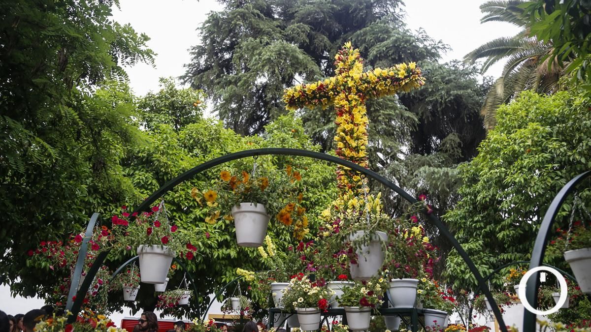Cruz de la Hermandad de la Sangre