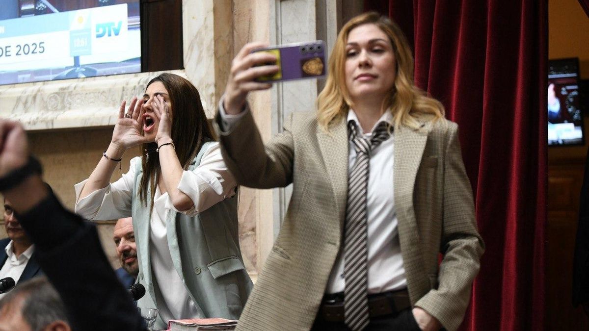 Marcela Pagano y Lilia Lemoine, en la sesión del 27/8/2025