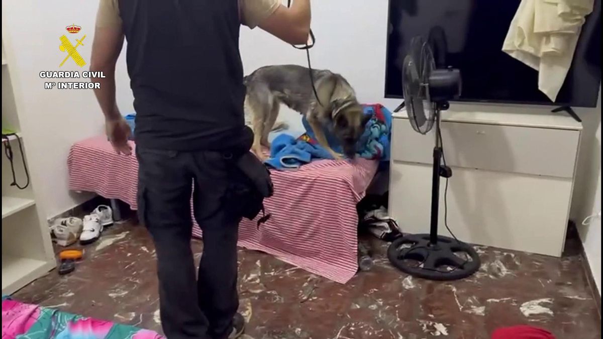 Uno de los registros de la Guardia Civil en la operación donde se ha detenido a 13 personas por explotación laboral de migrantes en la provincia de Albacete