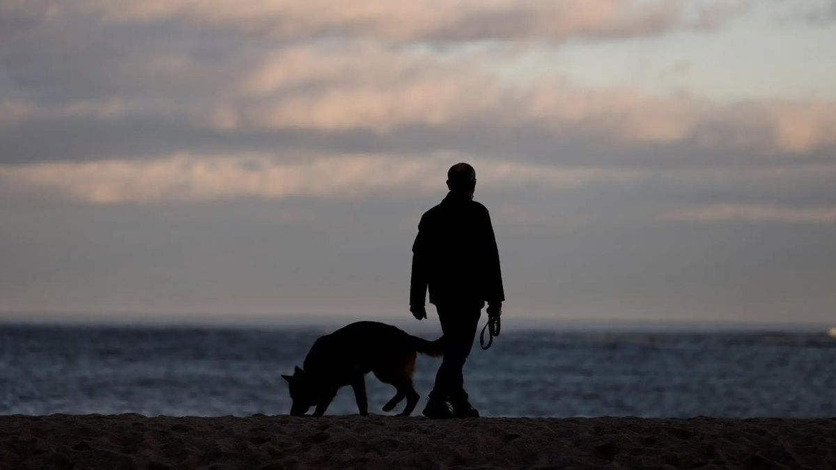 Indemnizado con 5.000 euros por el dolor de ver el atropello mortal de su perro y la huida del conductor