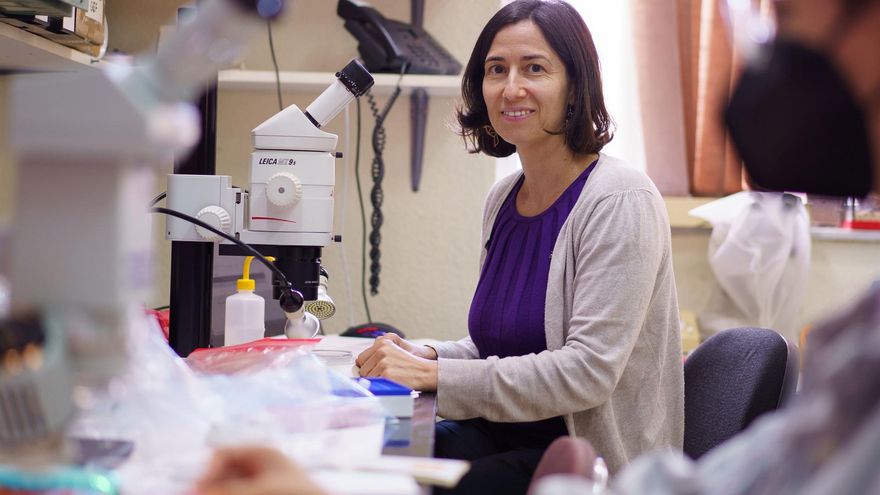 Nuria Macías, profesora e investigadora Viera y Clavijo en el Departamento de Biología Animal, Edafología y Geología de la Universidad de La Laguna (ULL)