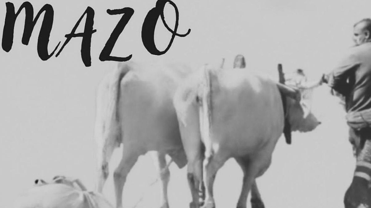 Imagen del cartel de concurso de ganado en Villa de Mazo.