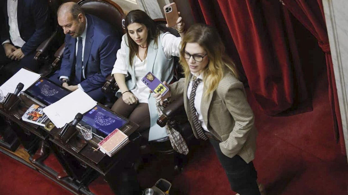 Lilia Lemoine se dedicó a presionar y perseguir a Marcela Pagano