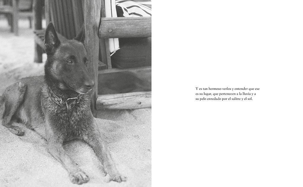 Página de 'En defensa de la memoria'