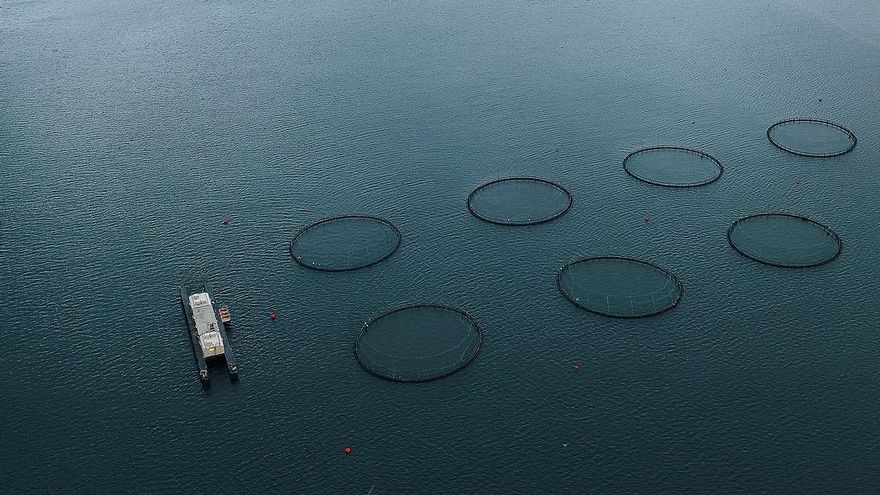 Instalaciones de acuicultura.