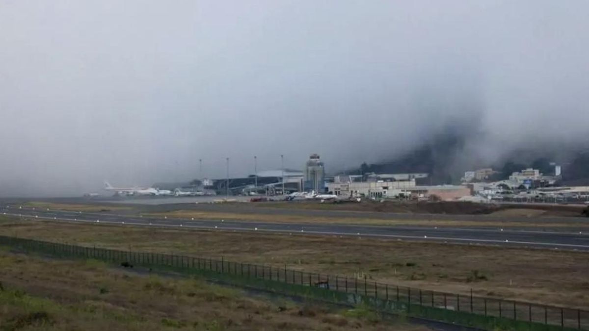 Niebla en Tenerife Norte, en una imagen de archivo.