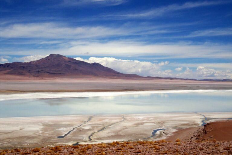 Salar de Tara. Foto: cortesía Cristina Dorador