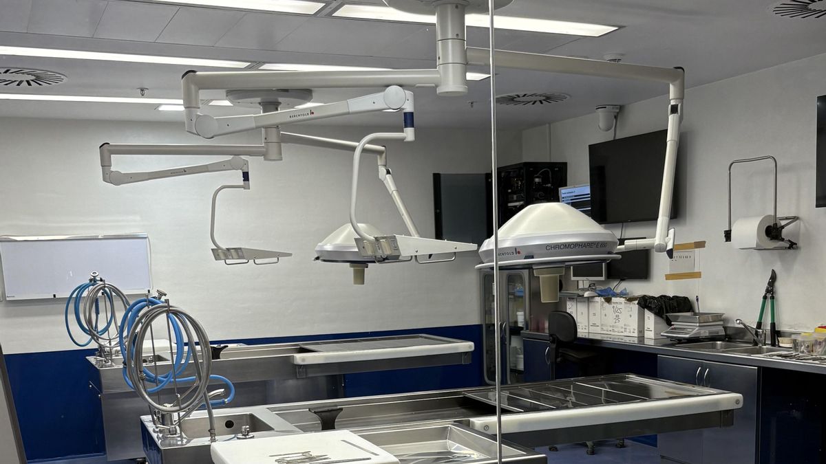 Aumentan los casos de agresiones sexuales en Barcelona: 327 casos en el primer semestre del año