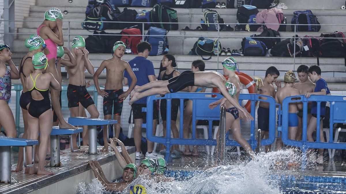 XV Trofeo Ciudad de Córdoba de Natación