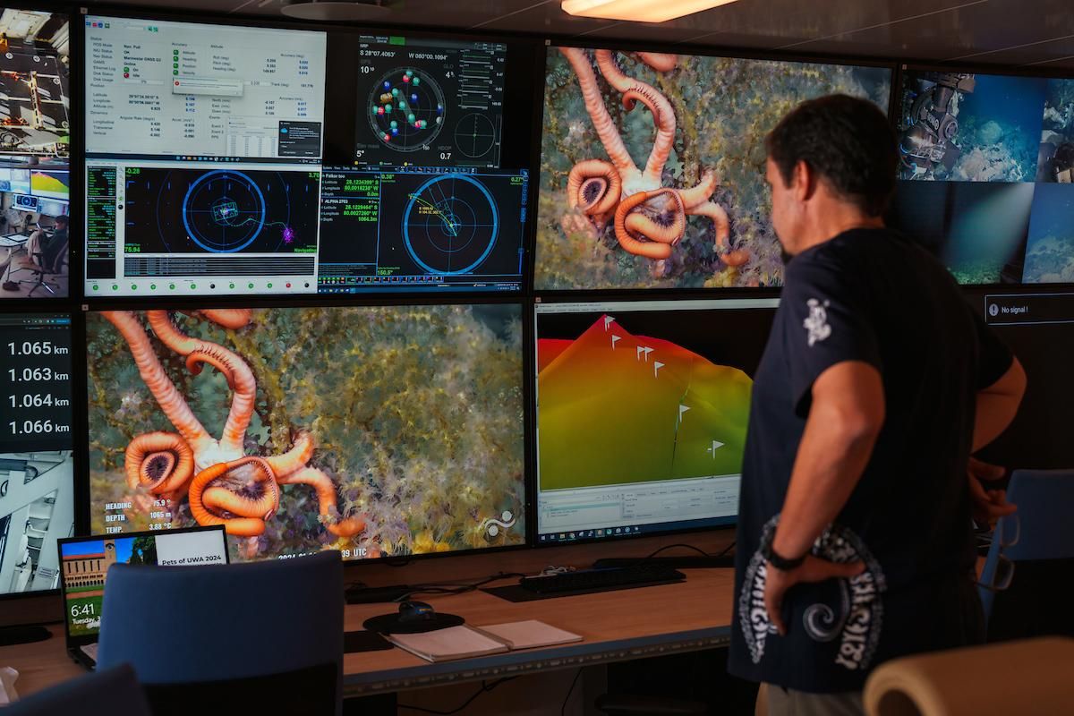 Javier Sellanes observa con sorpresa los videos de la primera inmersión en un monte submarino inexplorado. Foto: cortesía Alex Ingle/Schmidt Ocean Institute