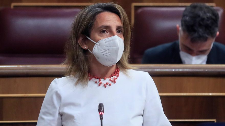 La ministra para la Transición Ecológica, Teresa Ribera en el Congreso. EFE/ Fernando Alvarado/Archivo