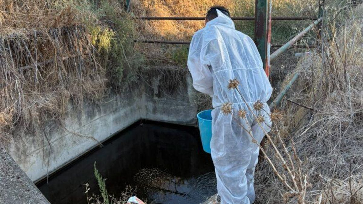 Extremadura eleva a 55 los casos de fiebre del Nilo este año tras confirmar tres nuevos contagios