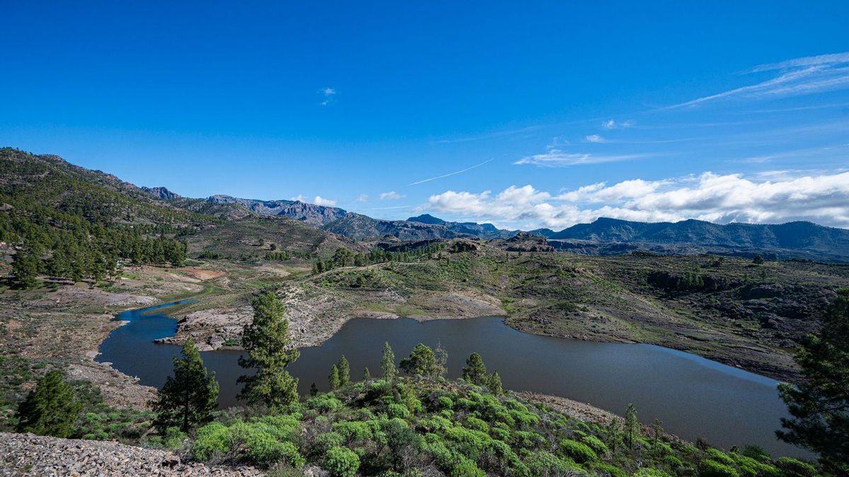 Las últimas lluvias multiplican el agua embalsada en Gran Canaria y garantizan el riego para 2026 y 2027