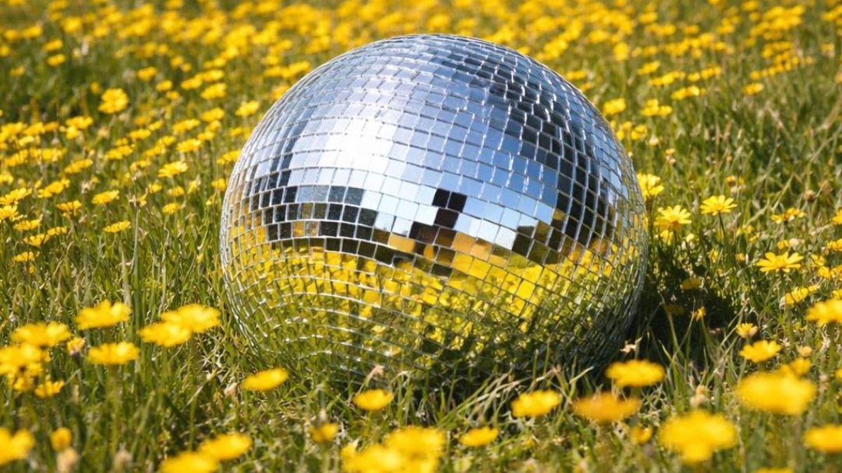 🎧Original i còpia 7