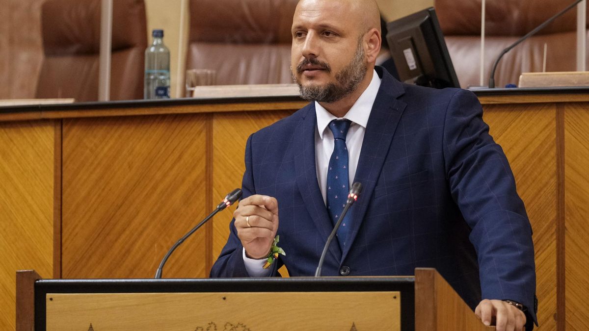 Archivo - El portavoz adjunto de Vox en el Parlamento andaluz, Rodrigo Alonso.