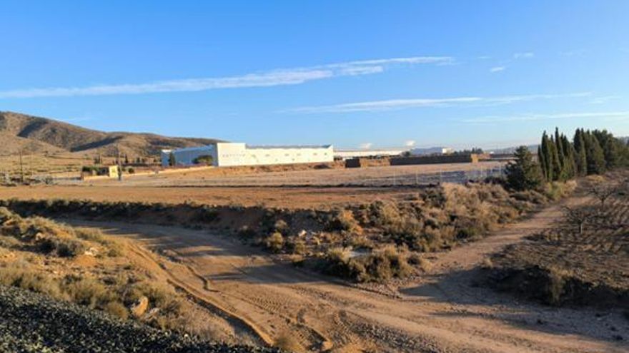 Un nuevo cebadero de terneros provoca el rechazo vecinal de una pedanía de Hellín por posible “efecto llamada”