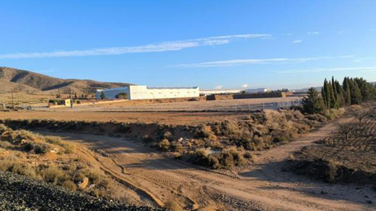 Un nuevo cebadero de terneros provoca el rechazo vecinal de una pedanía de Hellín por posible “efecto llamada”