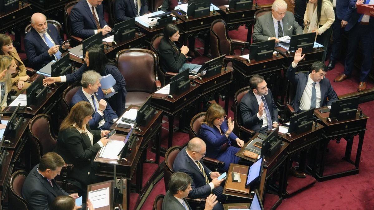 La bancada libertaria del Senado vota a favor de la ley de Inocencia Fiscal II.