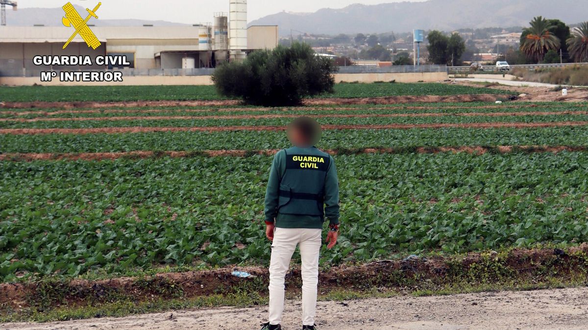 Detenido un empresario por explotación laboral de temporeras en situación irregular en Murcia