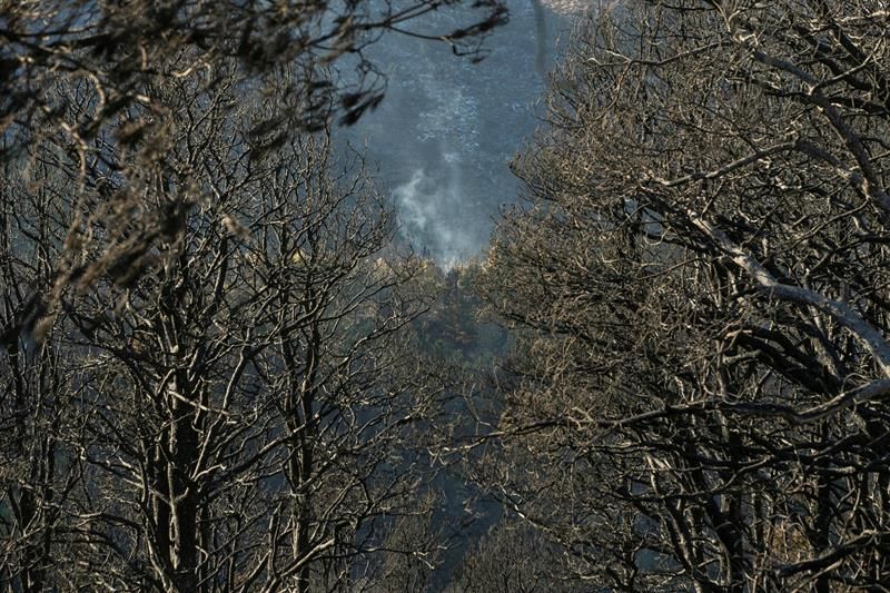 Zonas afectadas por el fuego del incendio forestal, en el Barranco Los Pajaritos (Cueva Corcho).