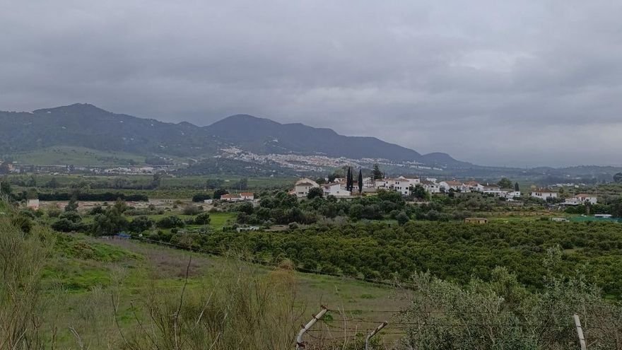 Andalucía en venta (II): cómo los fondos de inversión están rediseñando el campo andaluz