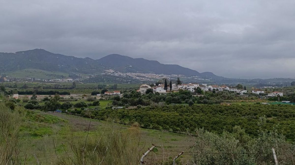 Andalucía en venta (II): cómo los fondos de inversión están rediseñando el campo andaluz