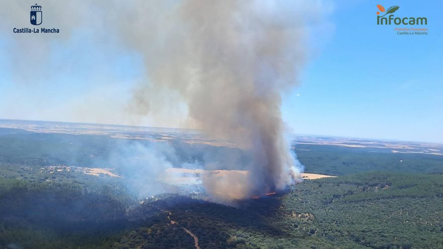 Castilla-La Mancha pide la intervención de la UME en el incendio forestal de La Mierla, en Guadalajara