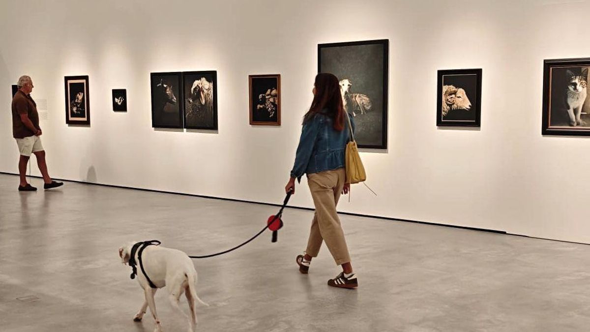 La fotógrafa Estela de Castro ofrece dos visitas guiadas de su exposición 'Personas' en Naves de Gamazo