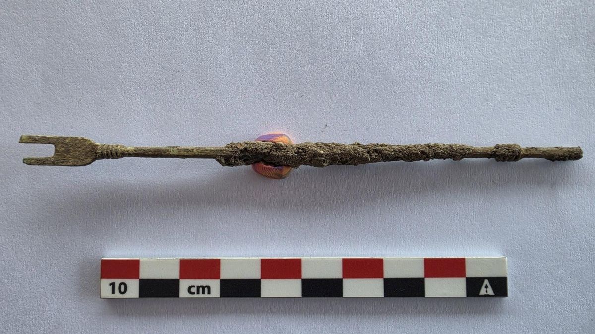 Arqueólogos encuentran una herramienta del siglo III que se utilizaba en operaciones para extraer piedras de la vejiga