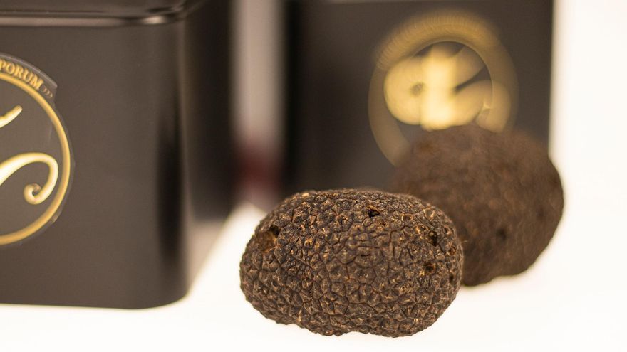 La trufa uno de los alimentos estrella de la provincia de Cuenca