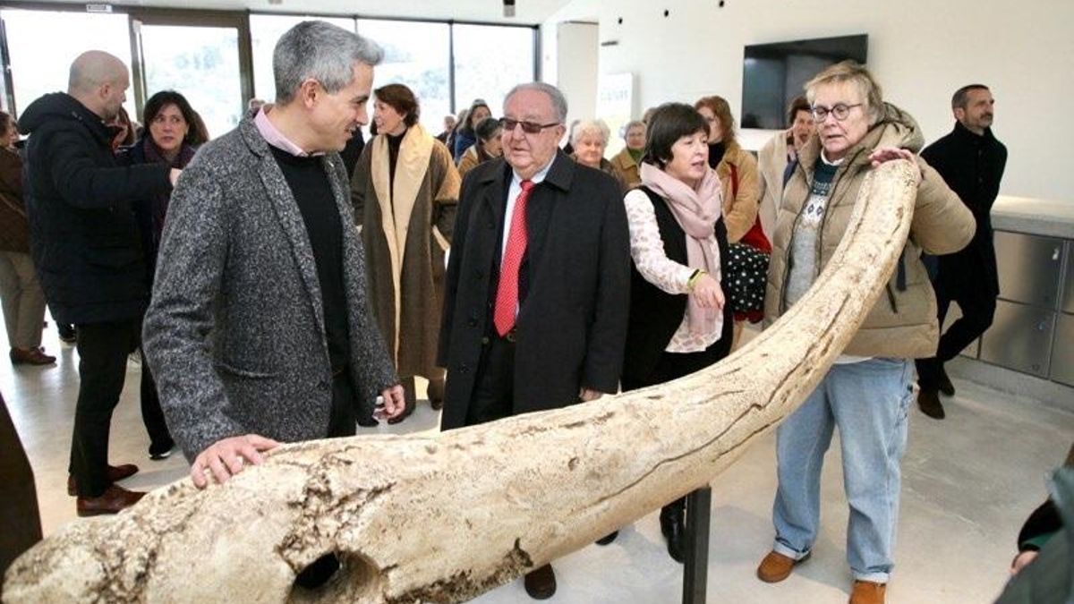 El vicepresidente de Cantabria, Pablo Zuloaga, visita el Centro de Arte Rupestre de Puente Viesgo