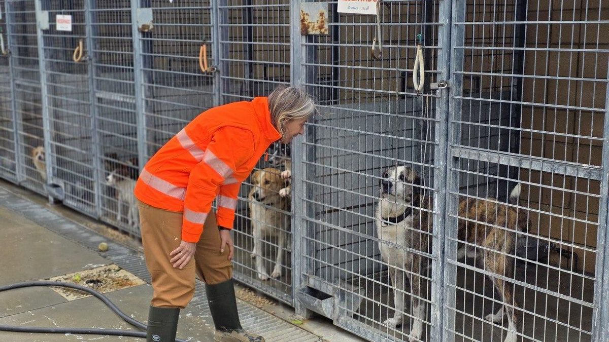 Isabel Albás visita el Centro de Bienestar Animal de Sadeco.