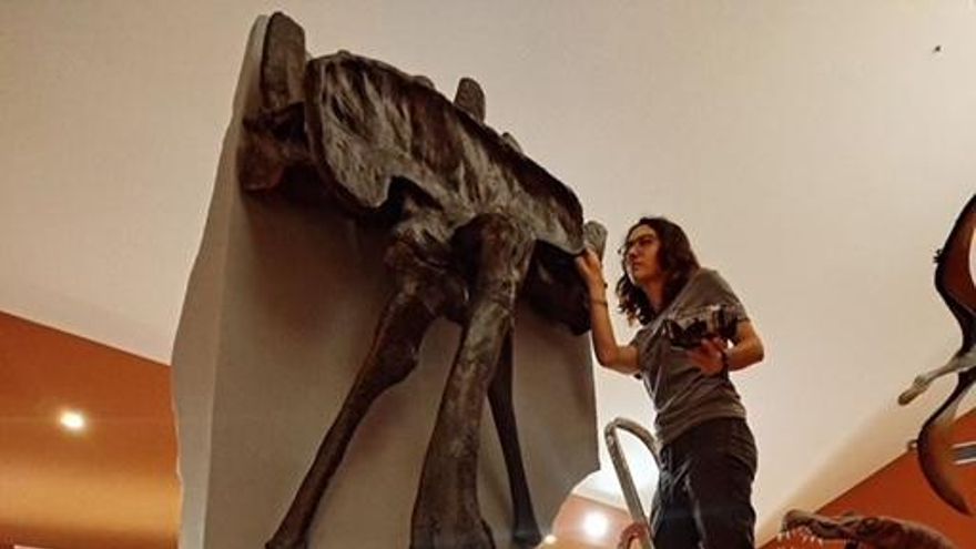 Dinosaurio con nombre riojano: la nueva especie de carnívoro espinosáurido puede contemplarse ya en Igea
