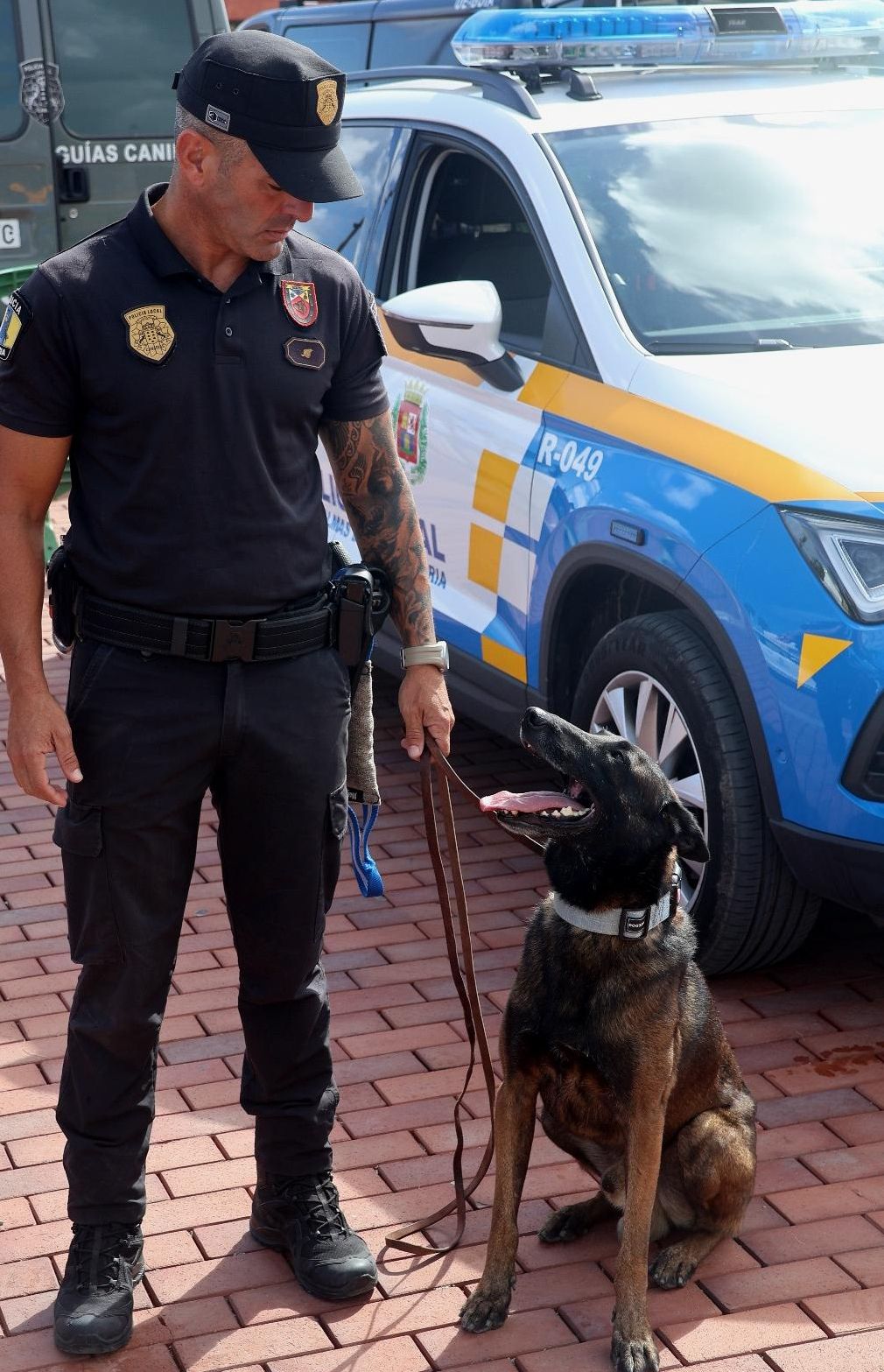 Un agente de la Policía Local de Las Palmas de Gran Canaria, con Seal, el pastor belga de la Unidad Canina que colaboró en la búsqueda de drogas.